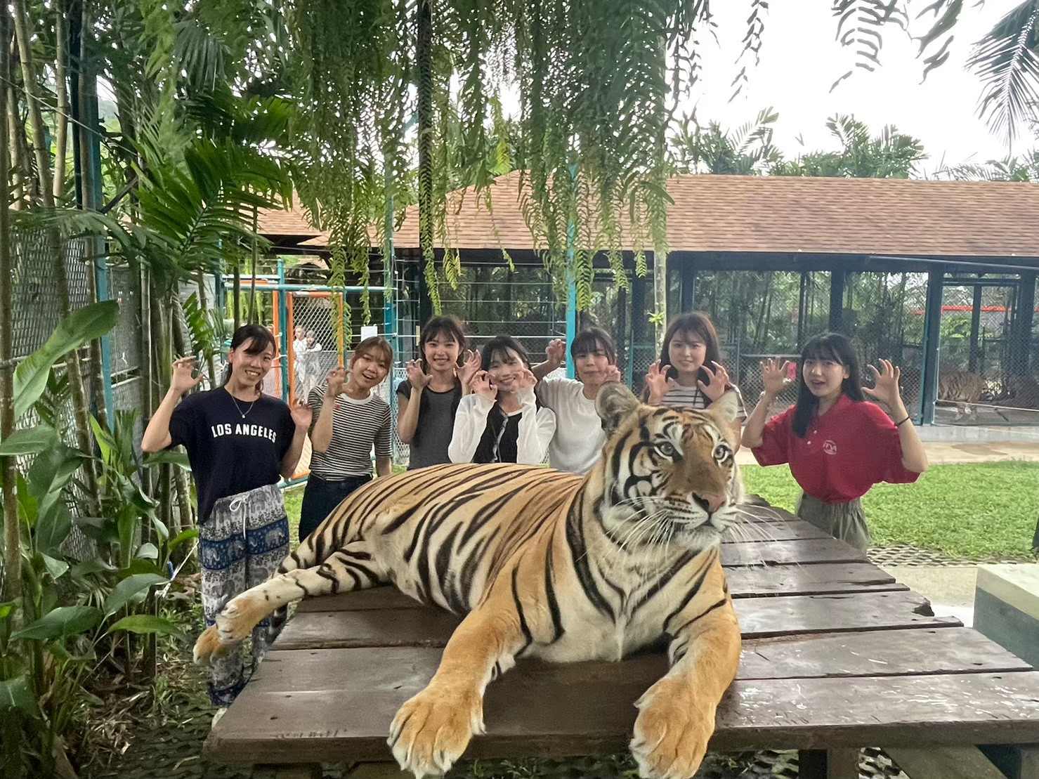 LINE_ALBUM_タイスタツア_240218_2